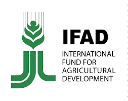 FIDA
